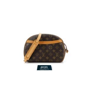 Blois Monogram Canvas - Brown